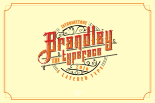 Brandley: A Nostalgic Display Typeface for Digital Charm