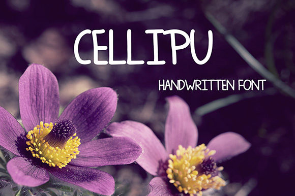 How Cellipu Became My Go-To Display Font for Digital Projects