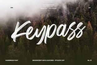 Keypass: A Display Font Built for Modern Campaigns